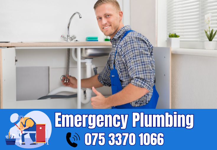 plumber North Cray