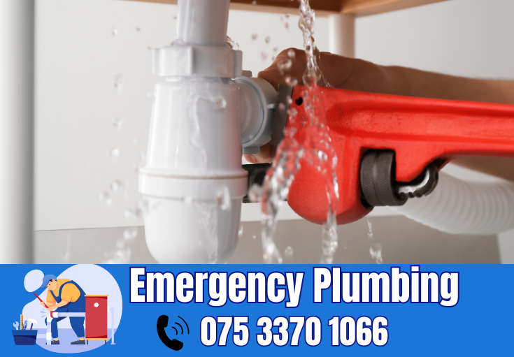  plumber Foots Cray