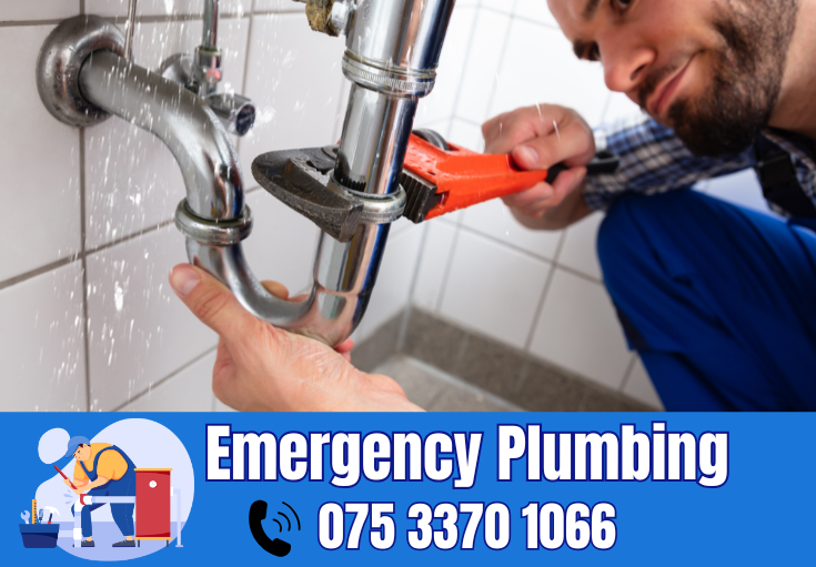  plumber Lamorbey